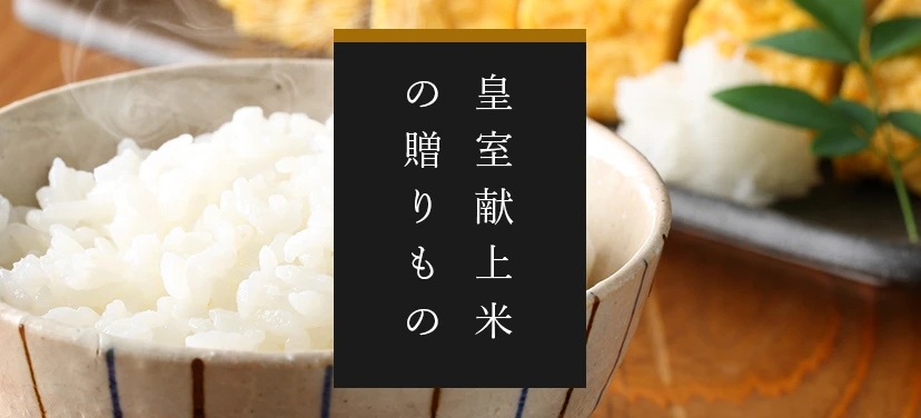 おすすめ商品