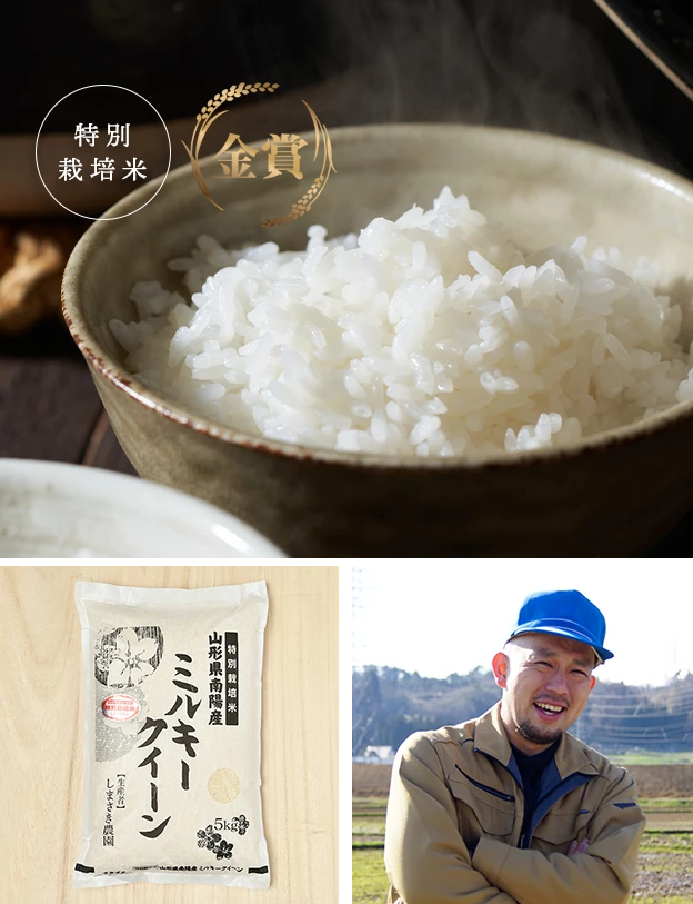 商品紹介