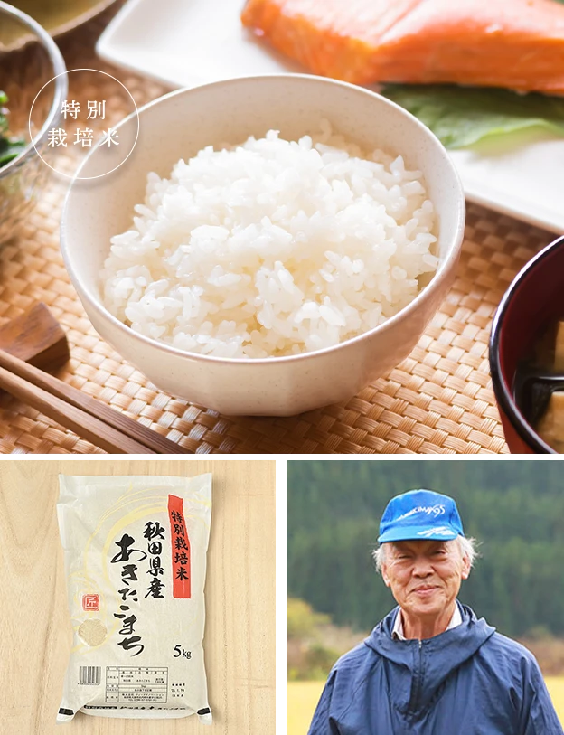 商品紹介