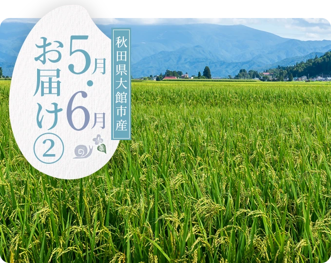 秋田県大館市産 5月にお届け