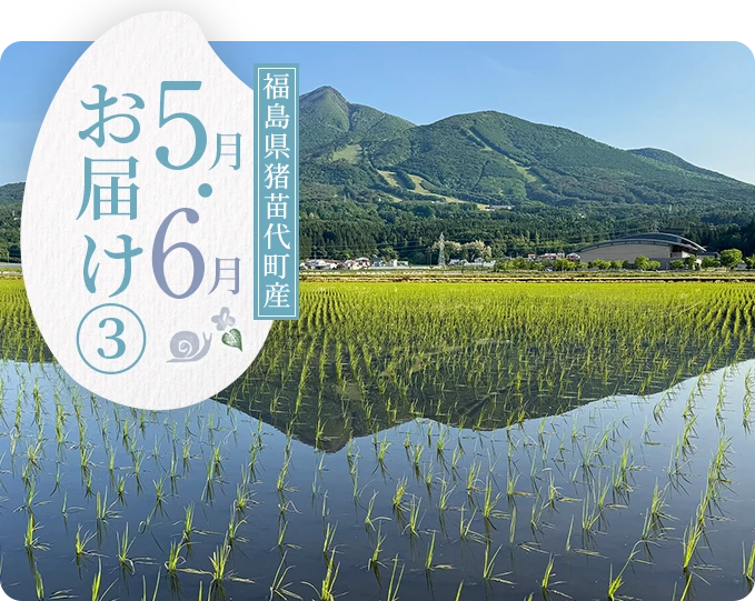 福島県猪苗代町産 5・6月にお届け
