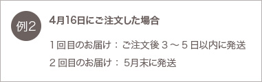 ご注文例2